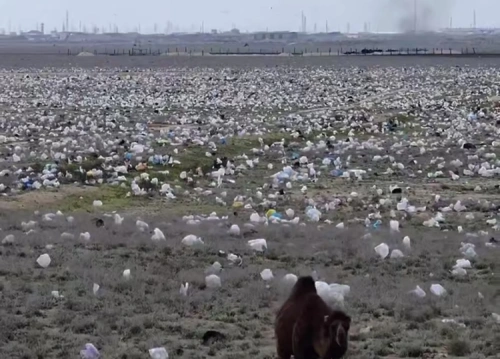 Ветер разнес мусор по степи: шокирующее видео из Мангистауской области