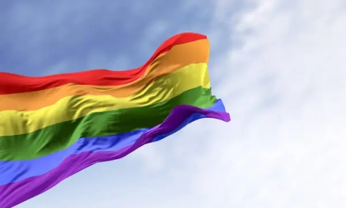 Когда рассмотрят законопроект о запрете «пропаганды ЛГБТ»?