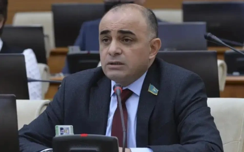 «Что происходит с людьми»: депутат о случае с котёнком в стиральной машине