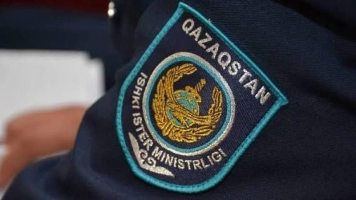 Пассажирку оштрафовали за оскорбление полицейского на борту самолета
