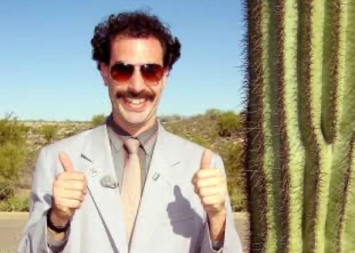 Купальники "Бората" на трибуне – трех фанатов "Брюгге" посадили на пять суток