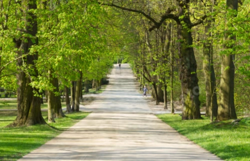 Минэкологии предлагает пересмотреть подходы к озеленению городов