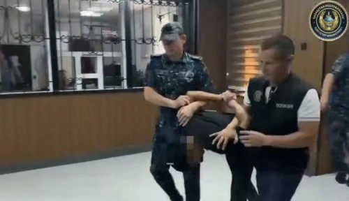 Полиция задержала двух подозреваемых в нападении на женщину в Ленгере