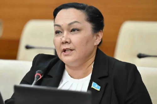 Экс-депутат заявила о «сценариях» в Мажилисе