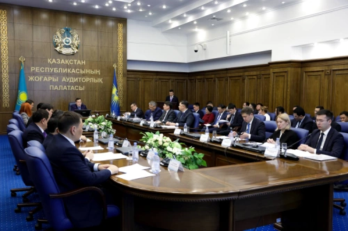 Подведены итоги аудита ВАП в городе Алматы