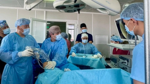 Түркістанда тіліксіз ота жасау әдісі енгізілді