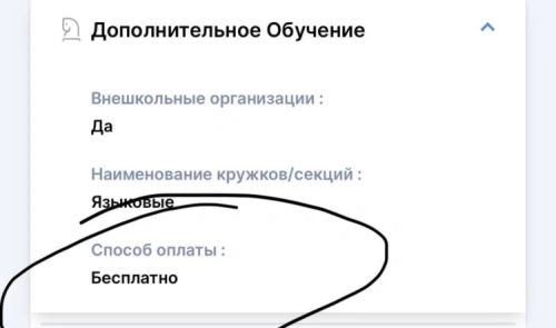 Бесплатные кружки без ведома родителей: казахстанцы обсуждают данные из eGov Mobile