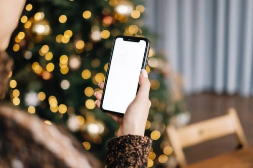 Полиция предупредила о росте интернет-мошенничества на Новый год