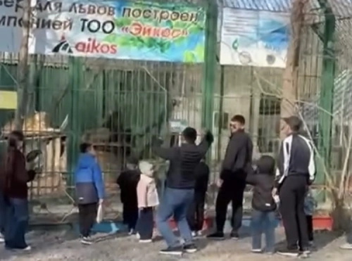 Камни в вольеры с животными бросают посетители Биоцентра в Семее