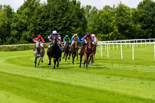 Общественники вновь требуют передать алматинский ипподром в госсобственность