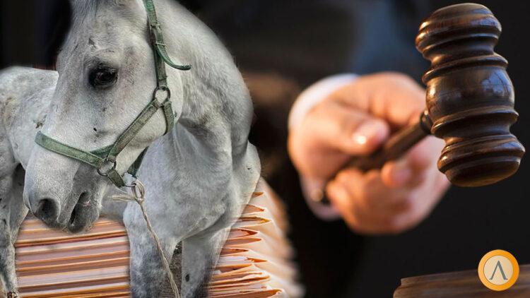 В Алматы жестоко избили лошадь, однако наказывать за это никого не будут