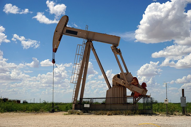 ОПЕК: спрос на нефть в 2022 году может превысить допандемийный уровень