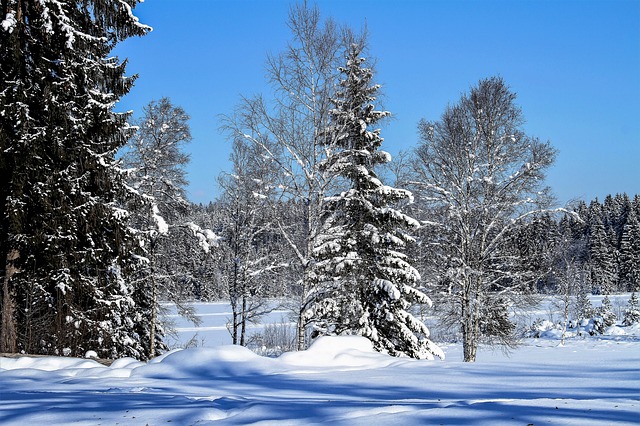 Погода в Казахстане 13 декабря