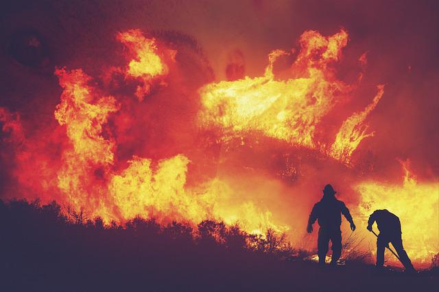 С начала пожароопасного периода зарегистрированы 394 лесных и 22 степных пожара