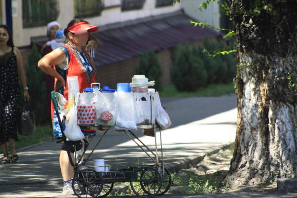 В Алматы примут новые правила уличной торговли