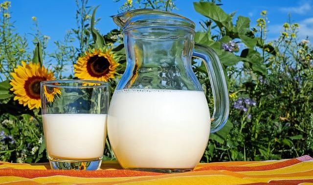 Казахстан разработает 19 стандартов для молочной продукции в ЕАЭС