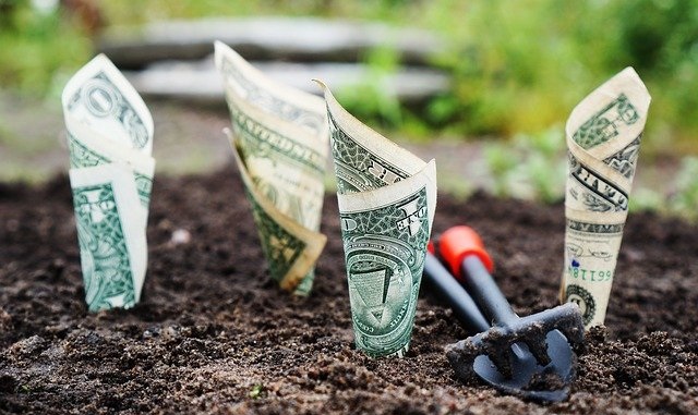 Деньги с Нацфонда детям начнут перечислять с 2024 года