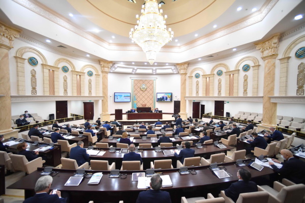 Сенат принял закон об амнистии