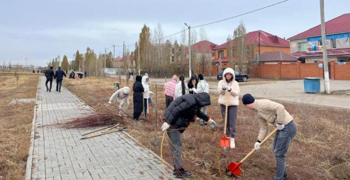 Более 30 тыс. тонн отходов собрали экоактивисты в Казахстане