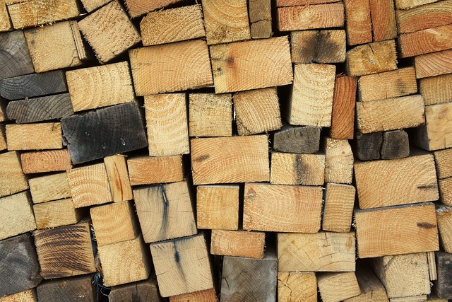 МИИР продлил запрет на вывоз отдельных видов лесоматериалов из Казахстана