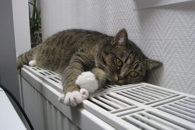 В Алматы постепенно отключат отопление с 20 апреля
