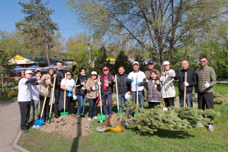 Экоакция Almaty Clean & Green объединила более 82 тысяч жителей мегаполиса