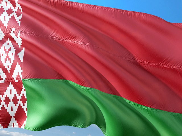 В Белоруссии обнародовали проект изменений в Конституцию