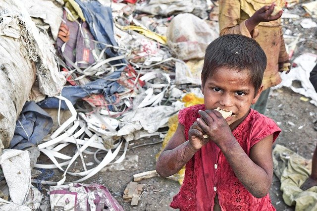 Беднейшим странам мира предрекли голодные годы