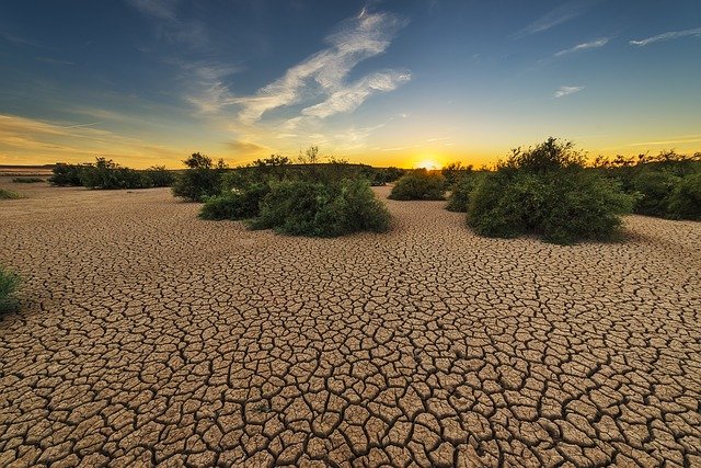 Сильную засуху прогнозируют синоптики в двух регионах Казахстана